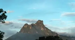 Diretoria do Garantido decide por não gravar DVD na temporada de 2017