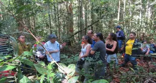 Empreendedoras montam ateliê para gerar renda sustentável no Rio Negro