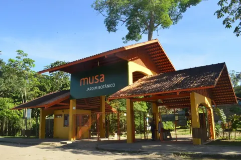 Especialistas debatem criação do Museu de Geociências e Paleontologia no Museu da Amazônia