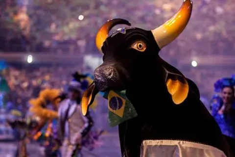 Festa do Quilombo de São Benedito terá participação especial do Boi-Bumbá Caprichoso