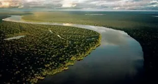 Festival Passo a Paço: Artes, cultura e gastronomia no Centro Histórico de Manaus