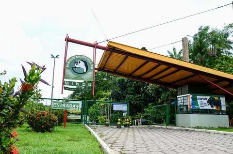 Ônibus Coletivos Urbanos de Manaus