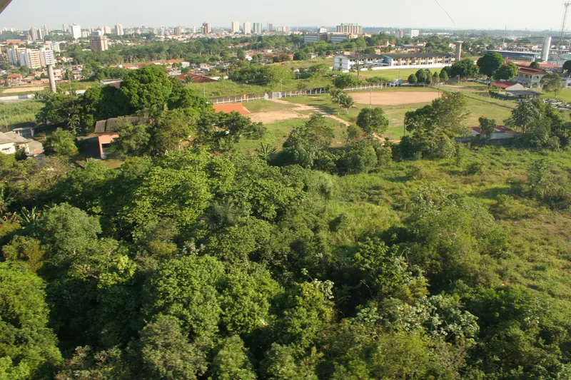 Flores, Manaus