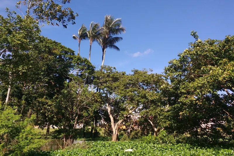 São Raimundo, Manaus