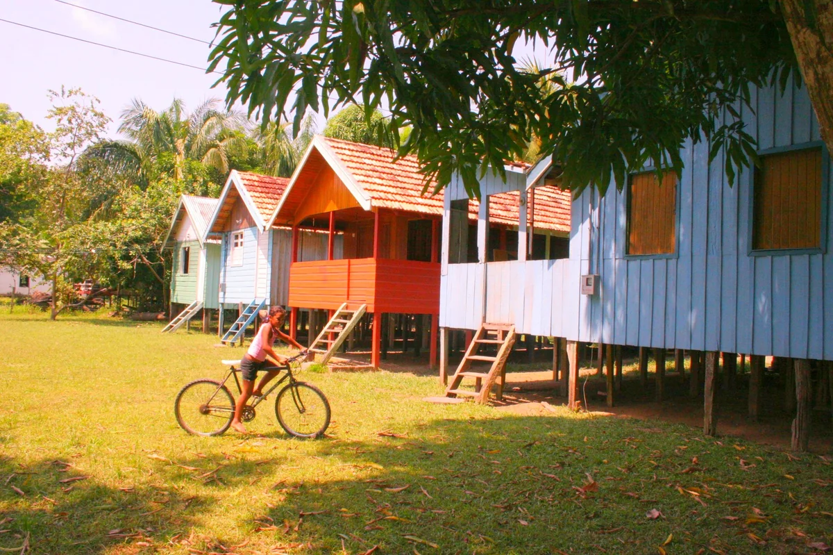 Terra Nova, Manaus