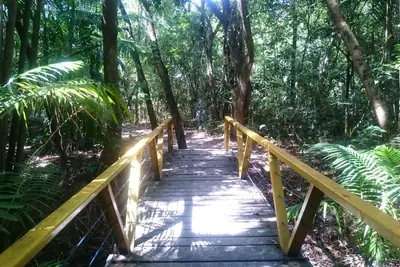 Parque Municipal do Mindu