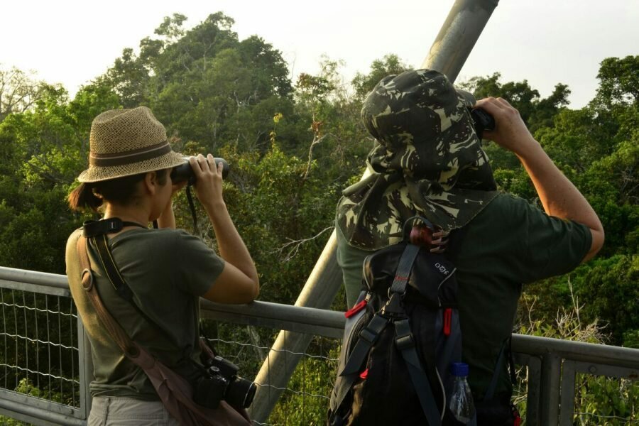 Neste sábado (26) tem observação de aves na Torre do Museu da Amazônia
